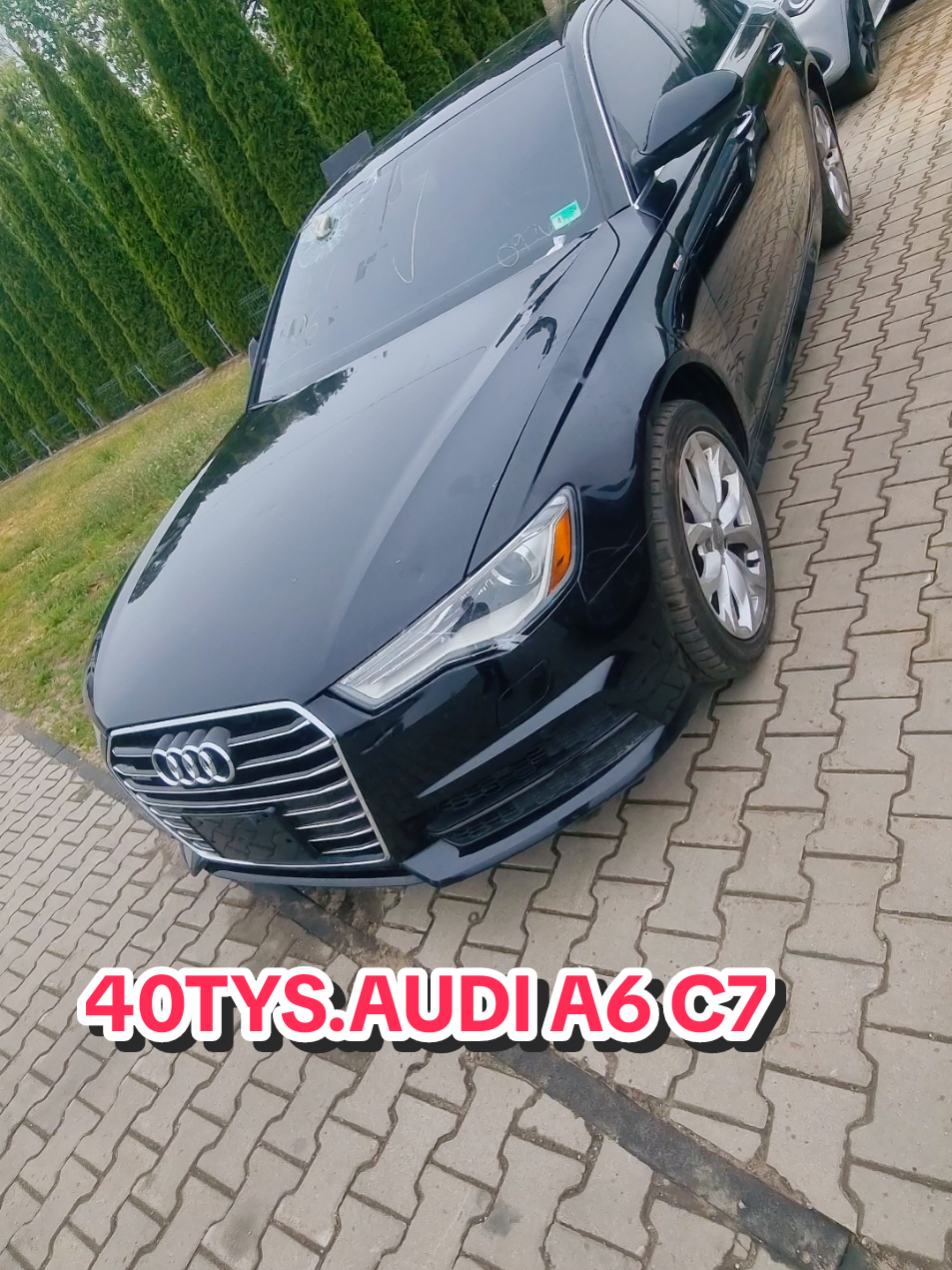 @Marcinzmotoleader