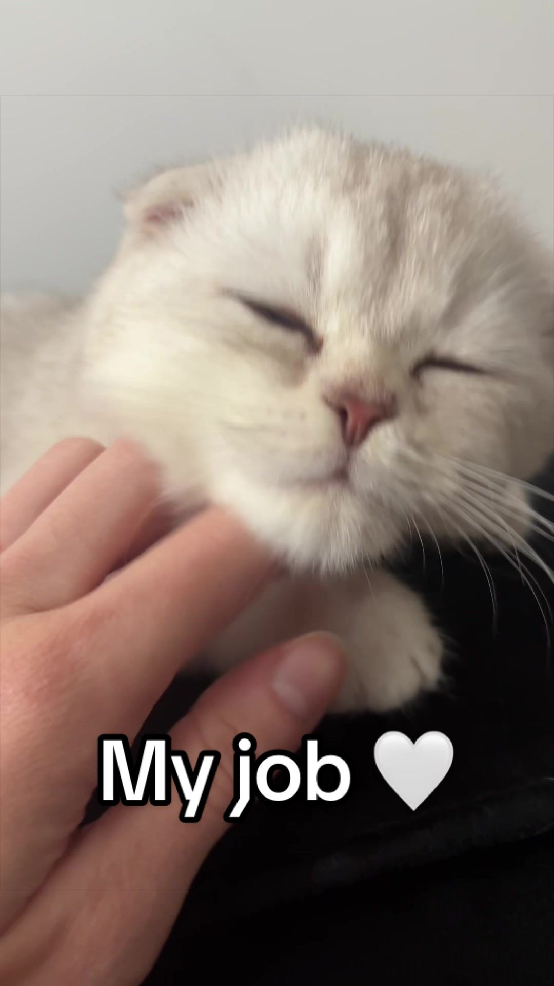 @michaelacooper_