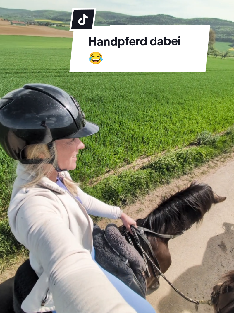@Caro_Sofie_Offenstallliebe