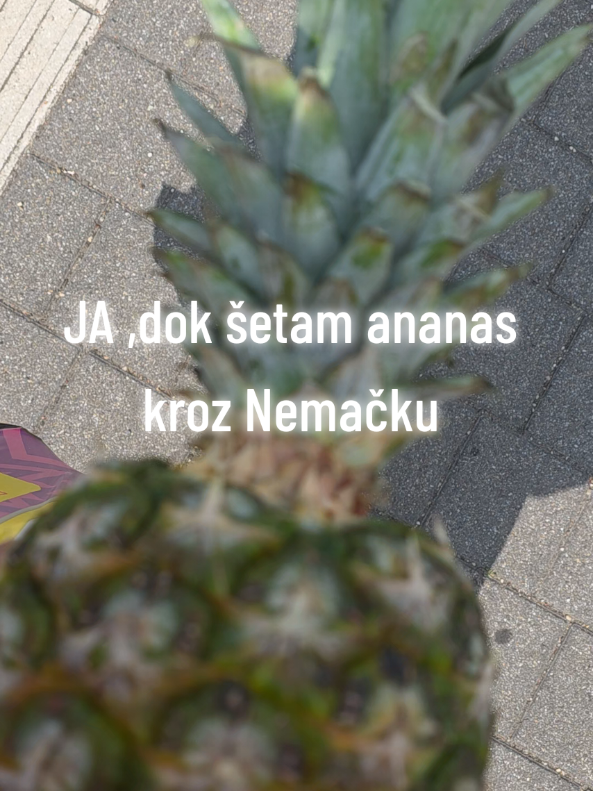 @✈️solo igračica✈️ 🥇 &reg;️