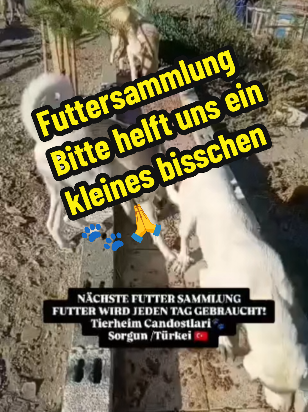 @TSV Candostlari-Beste Freunde