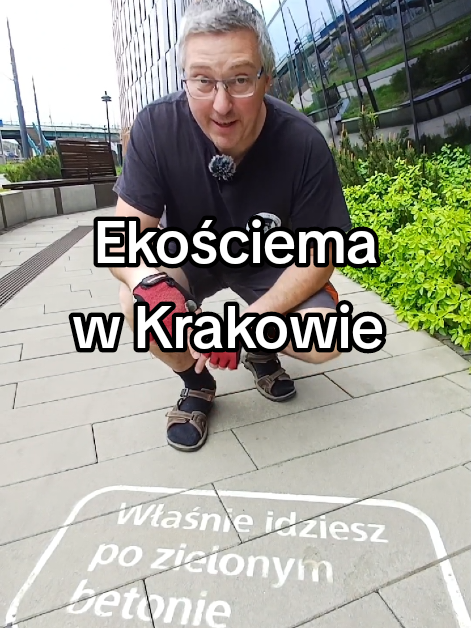 @Kominki GP