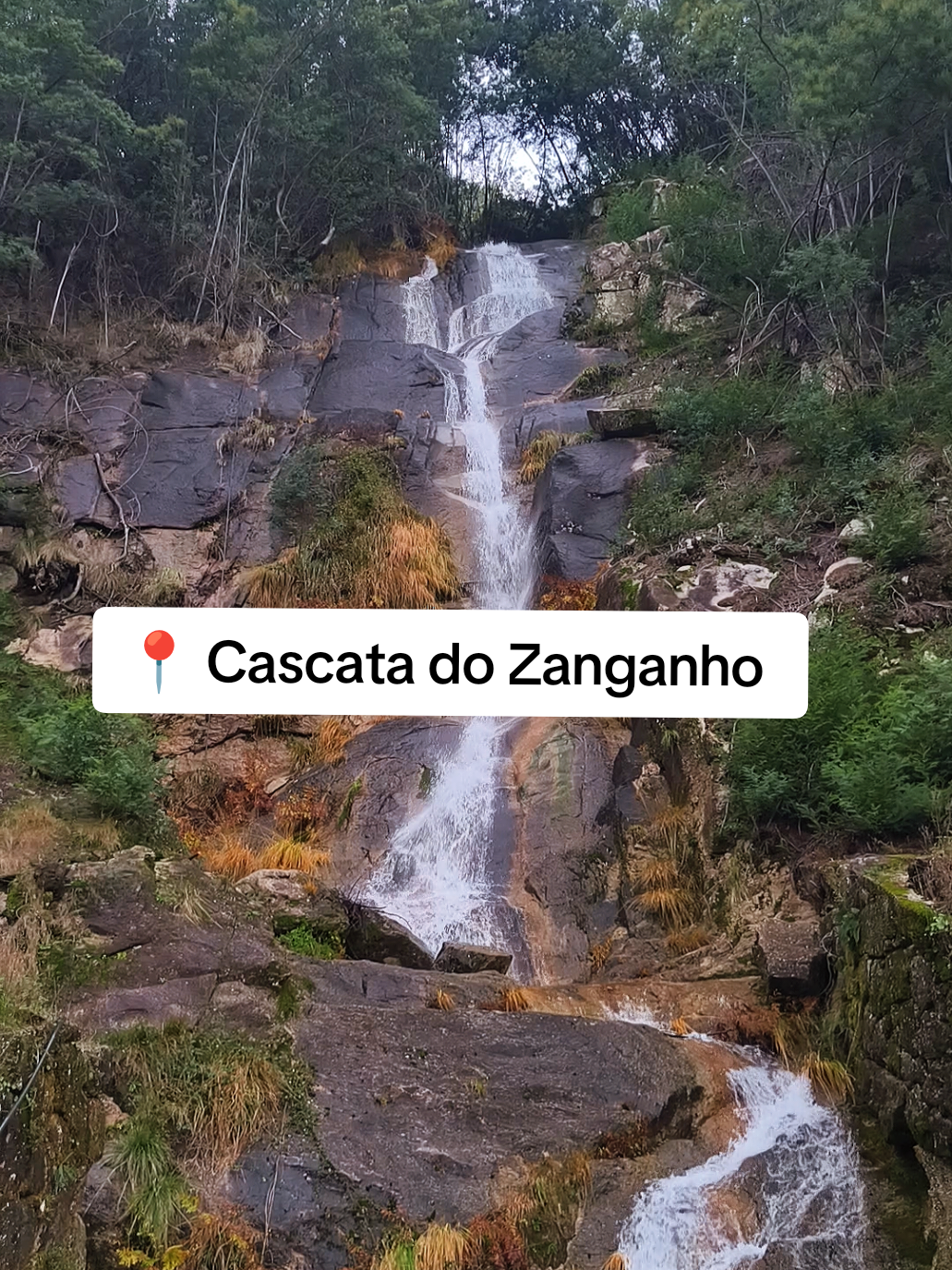 @Ger&ecirc;s Vibes