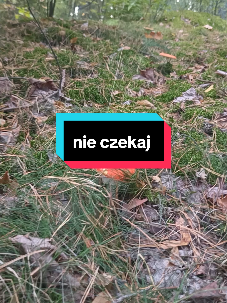 @Anna