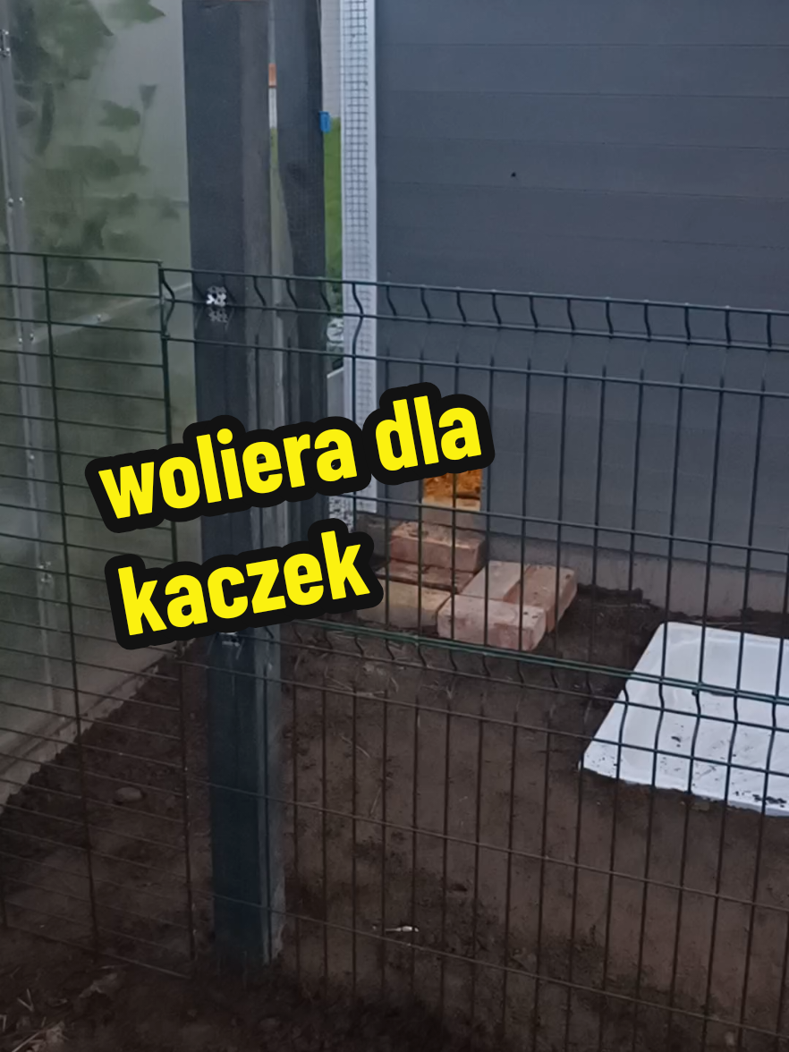 @Marcin ogrodnik