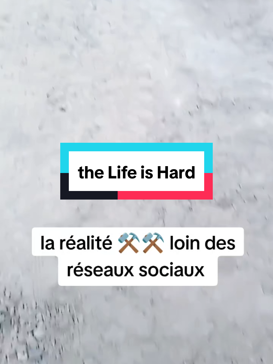 @life-is-love