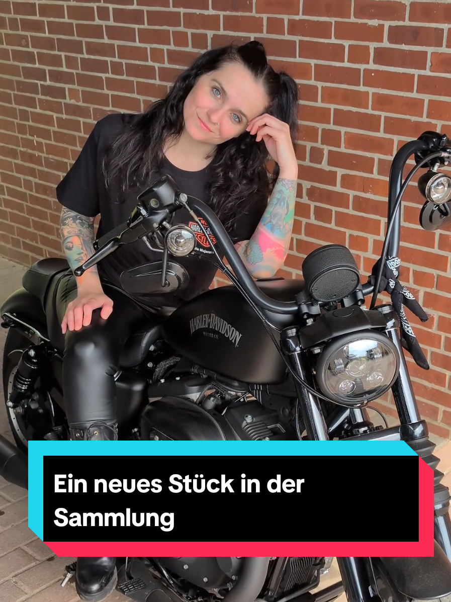 @Harley Maus