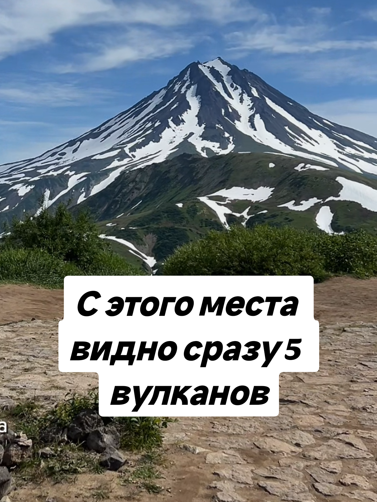 @Елена Шкода