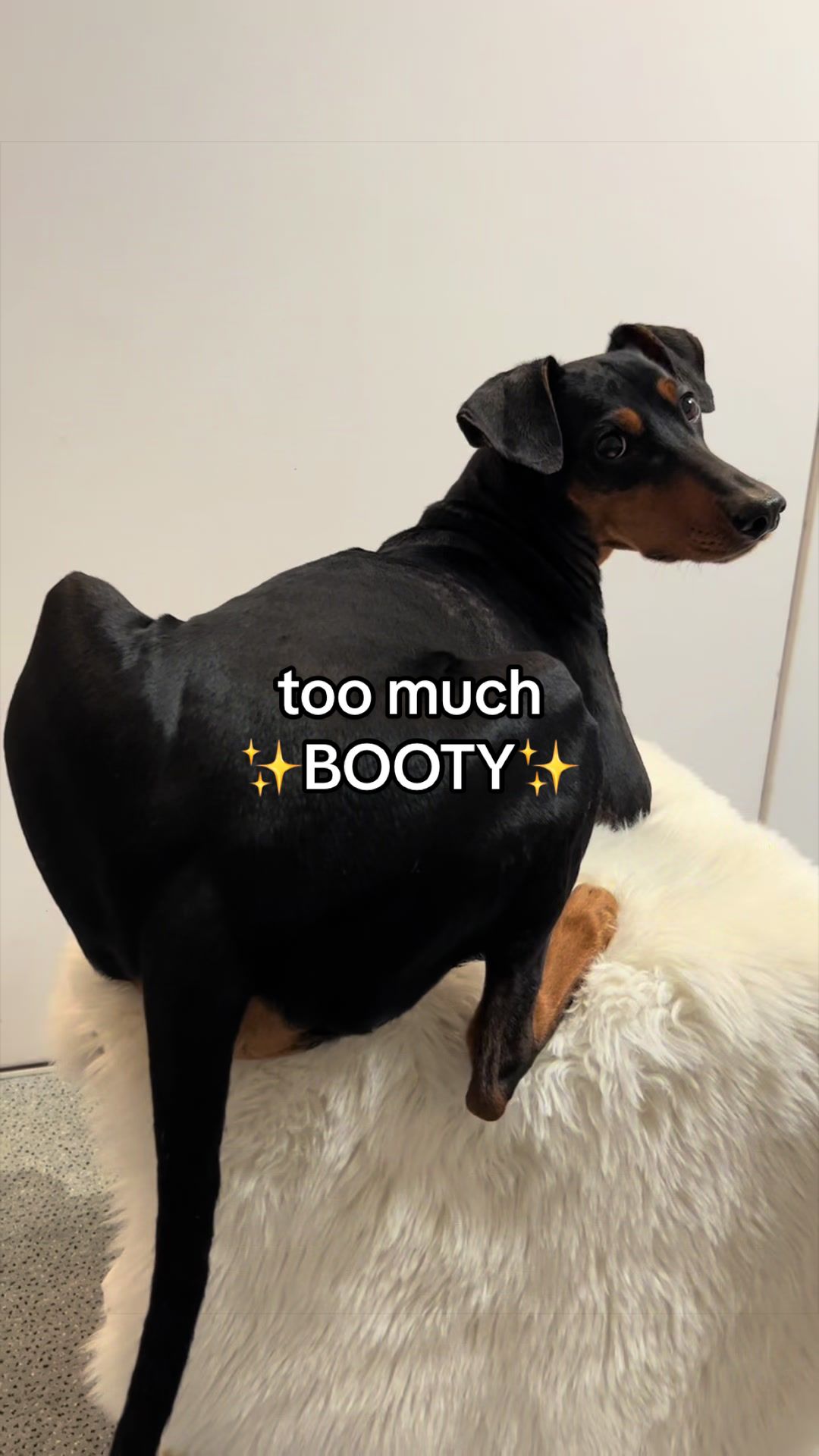 @AlvaTheHotDog