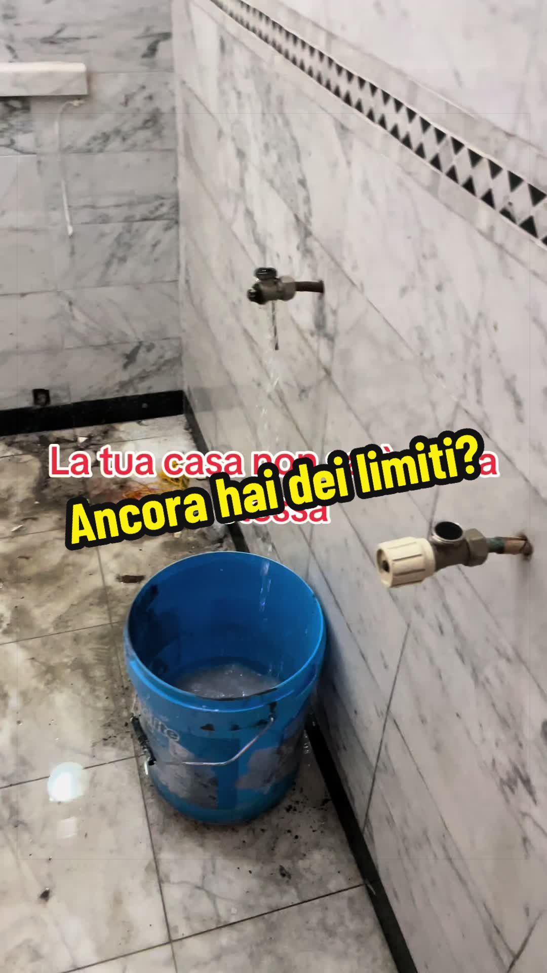 @Alessandro Cuomo ♌️