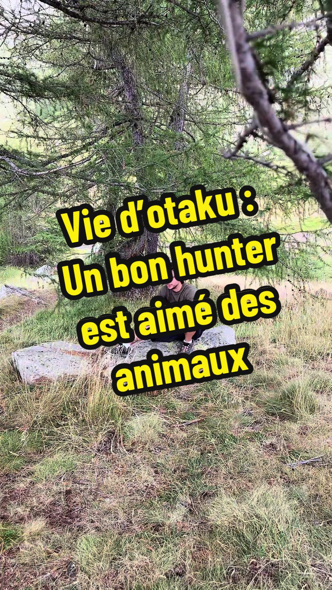 @Vercin