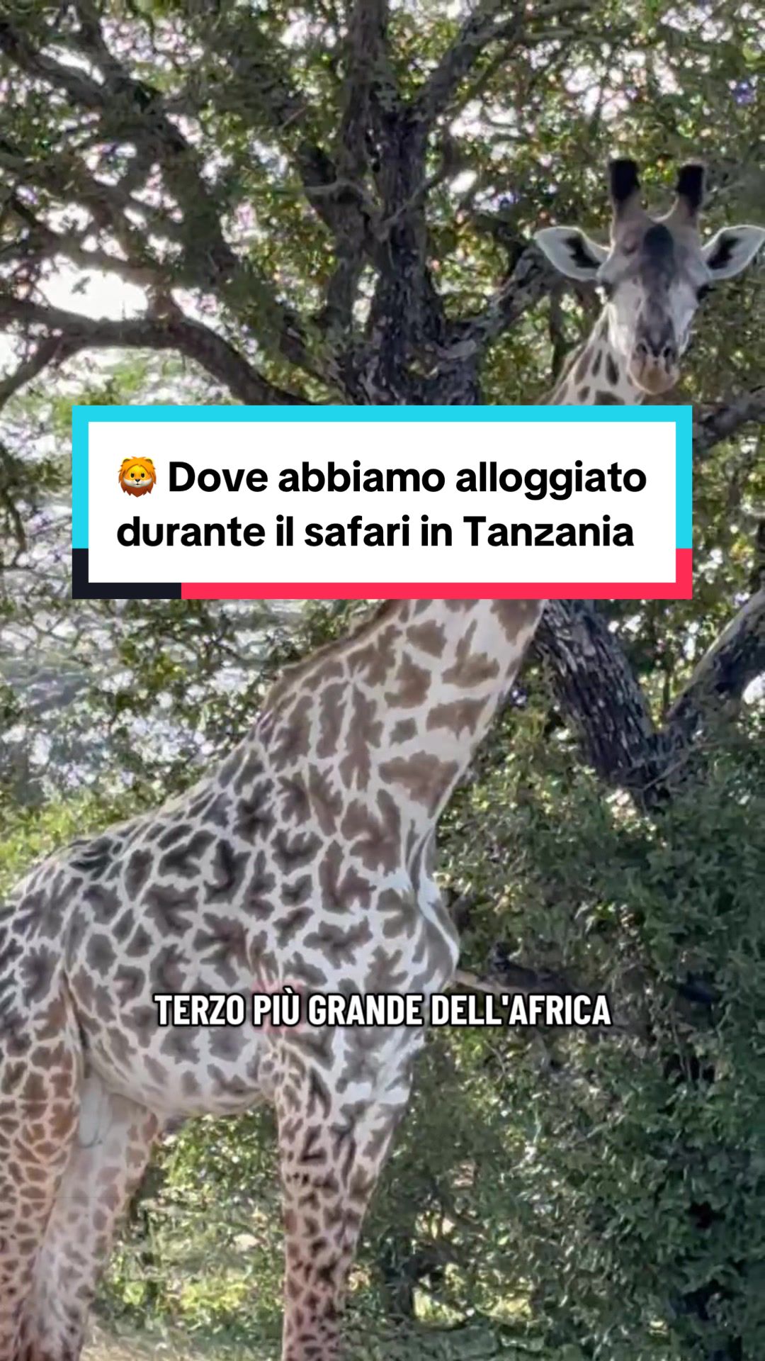 @iGiramondo 🌍✈️