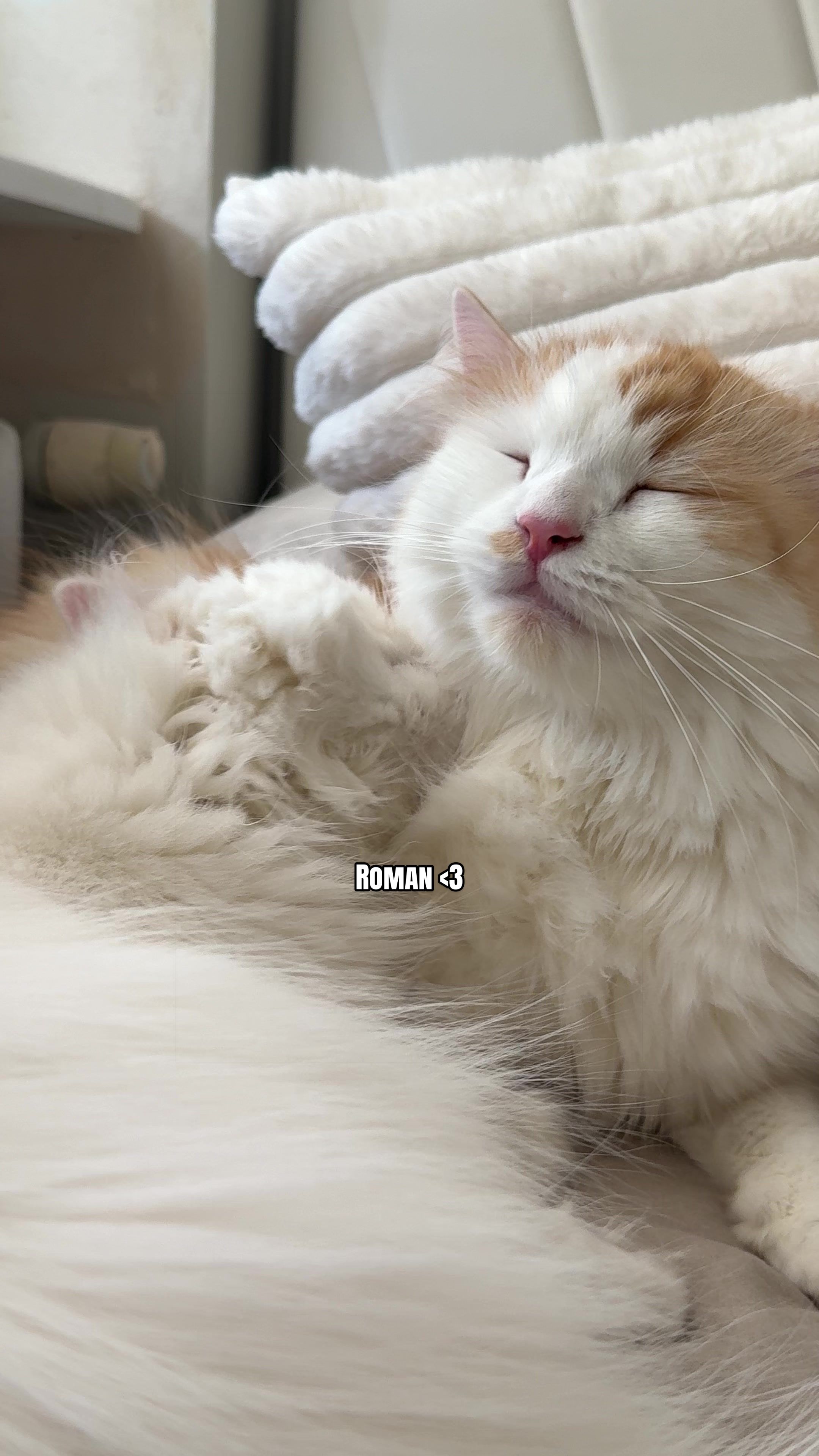 @๐คZuzia๐ค ig: zuzkqpl