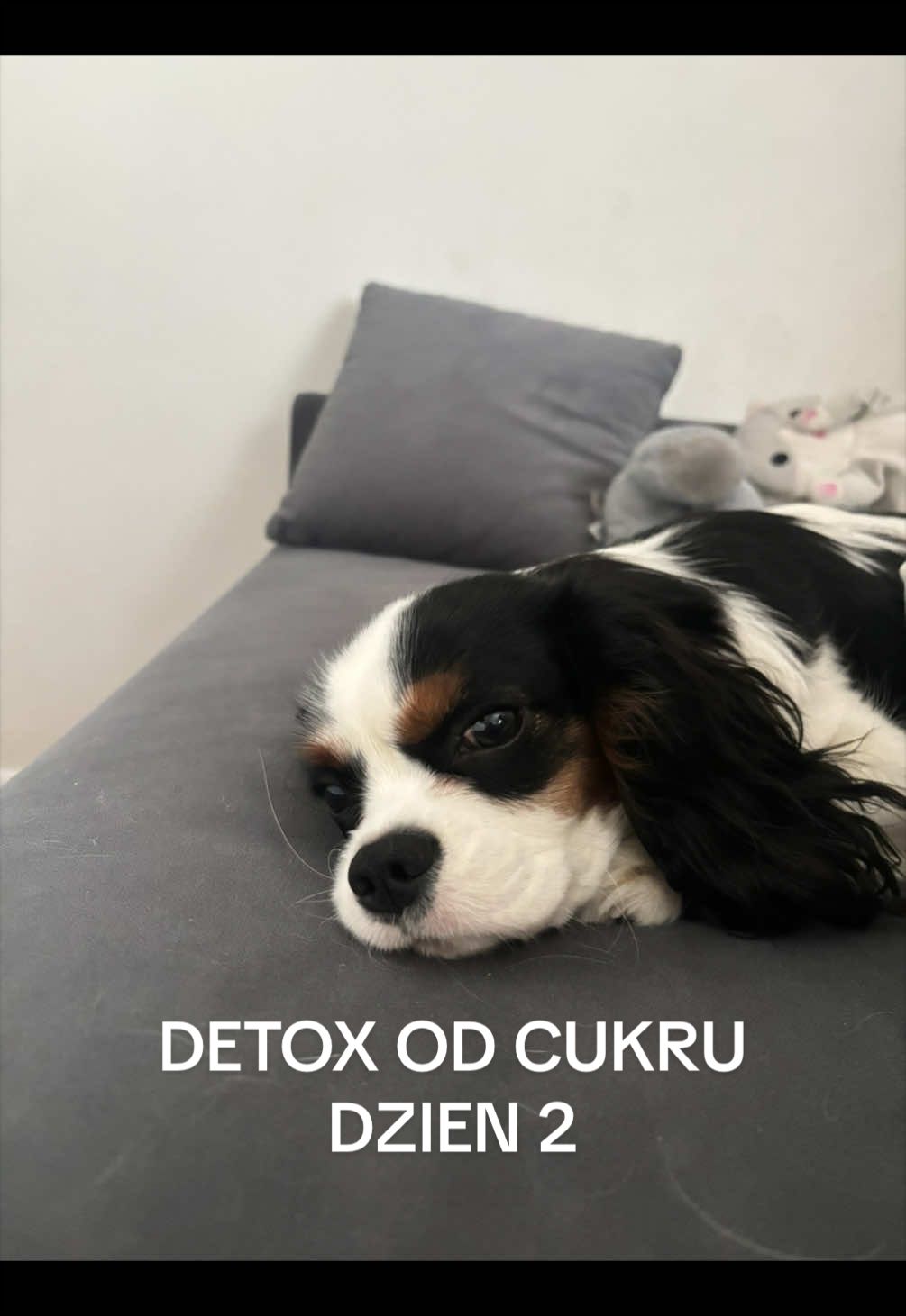 @julka