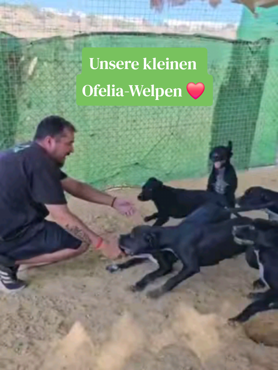 @Parenas Pfotenhilfe