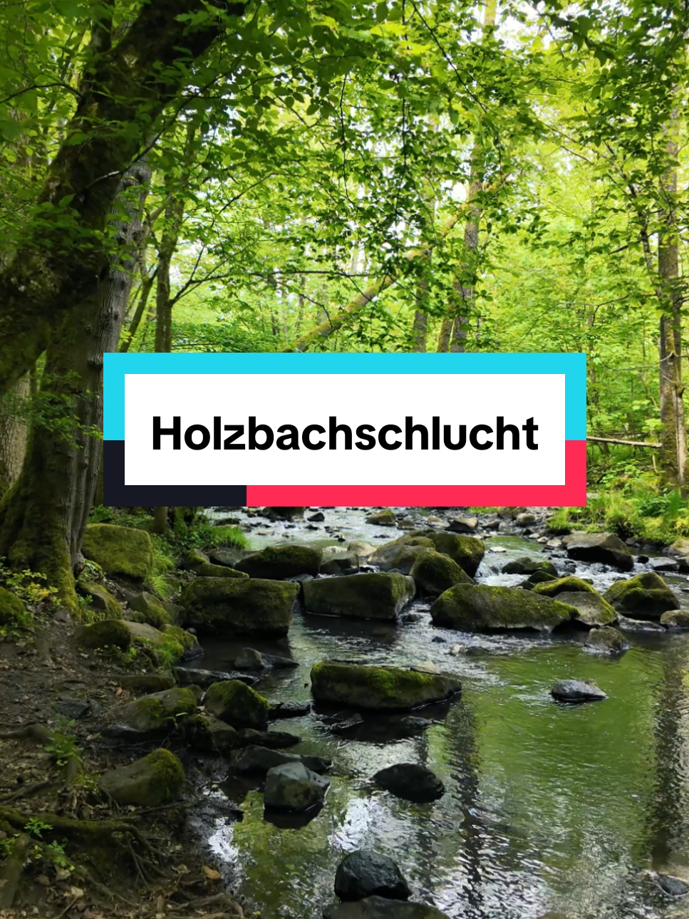 @Am Puls der Natur
