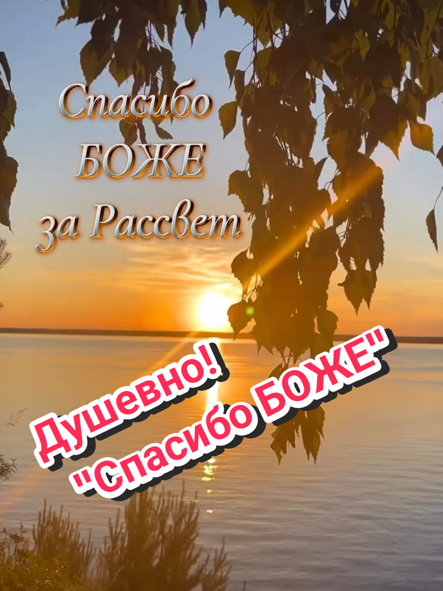 @✨Елена✨