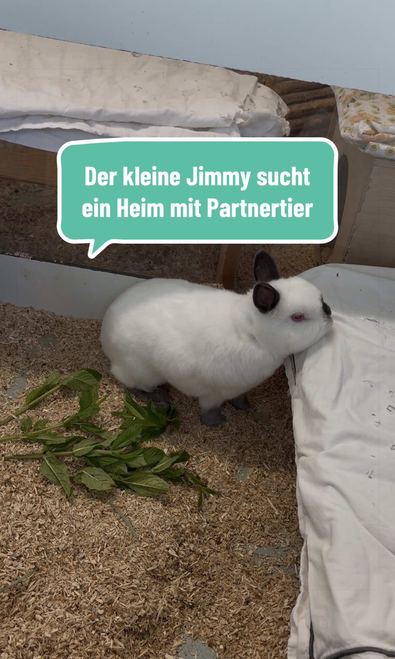 @TierschutzvereinM
