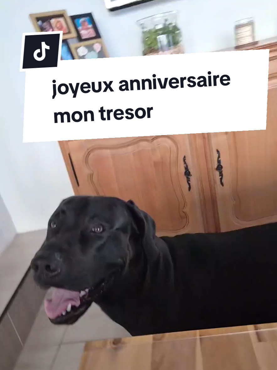 @Battman Batou