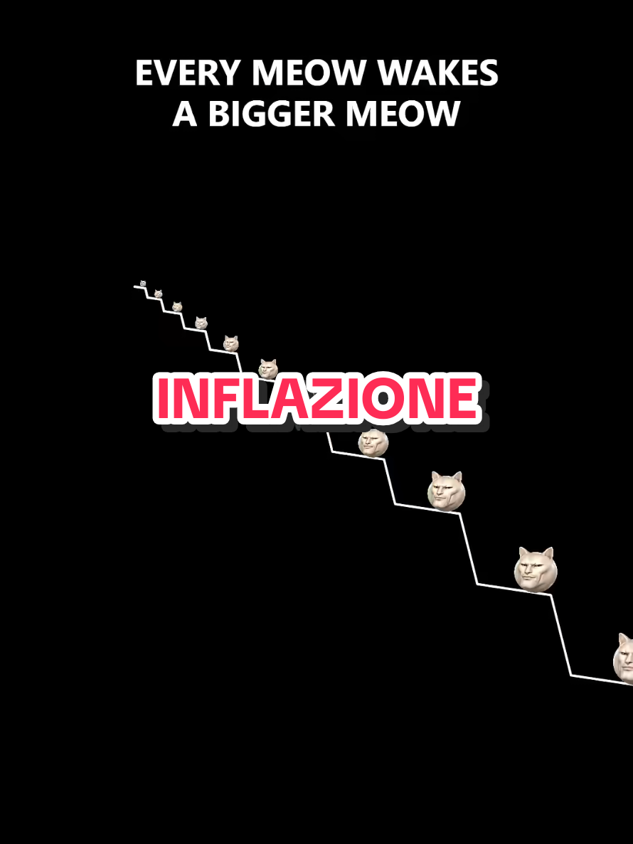 @funny fanpage