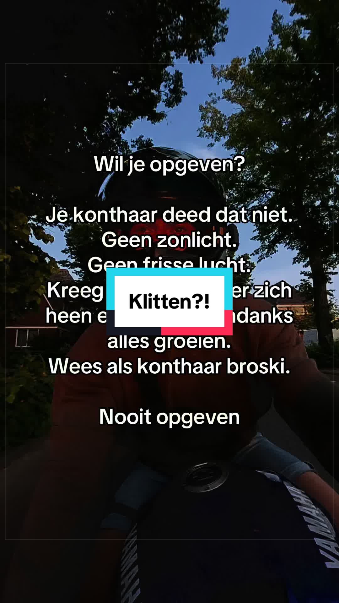 @Bikerboyz Holland ๐๏ธ