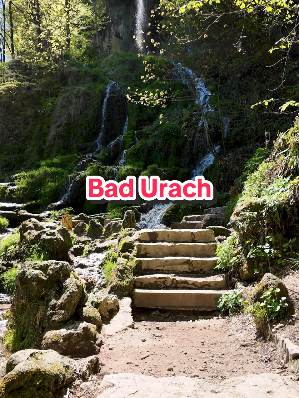 @Am Puls der Natur