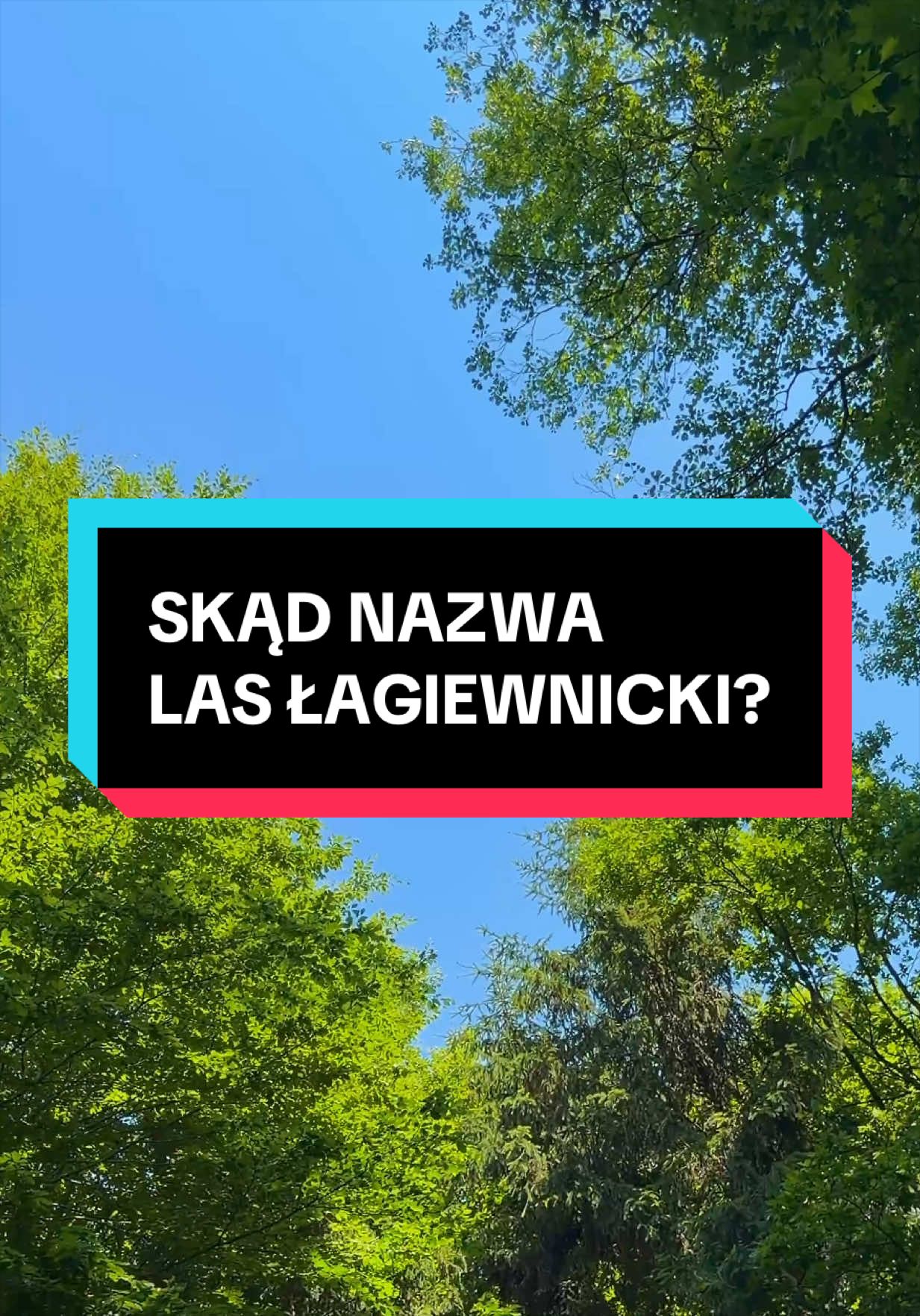 @Łódź 🦄