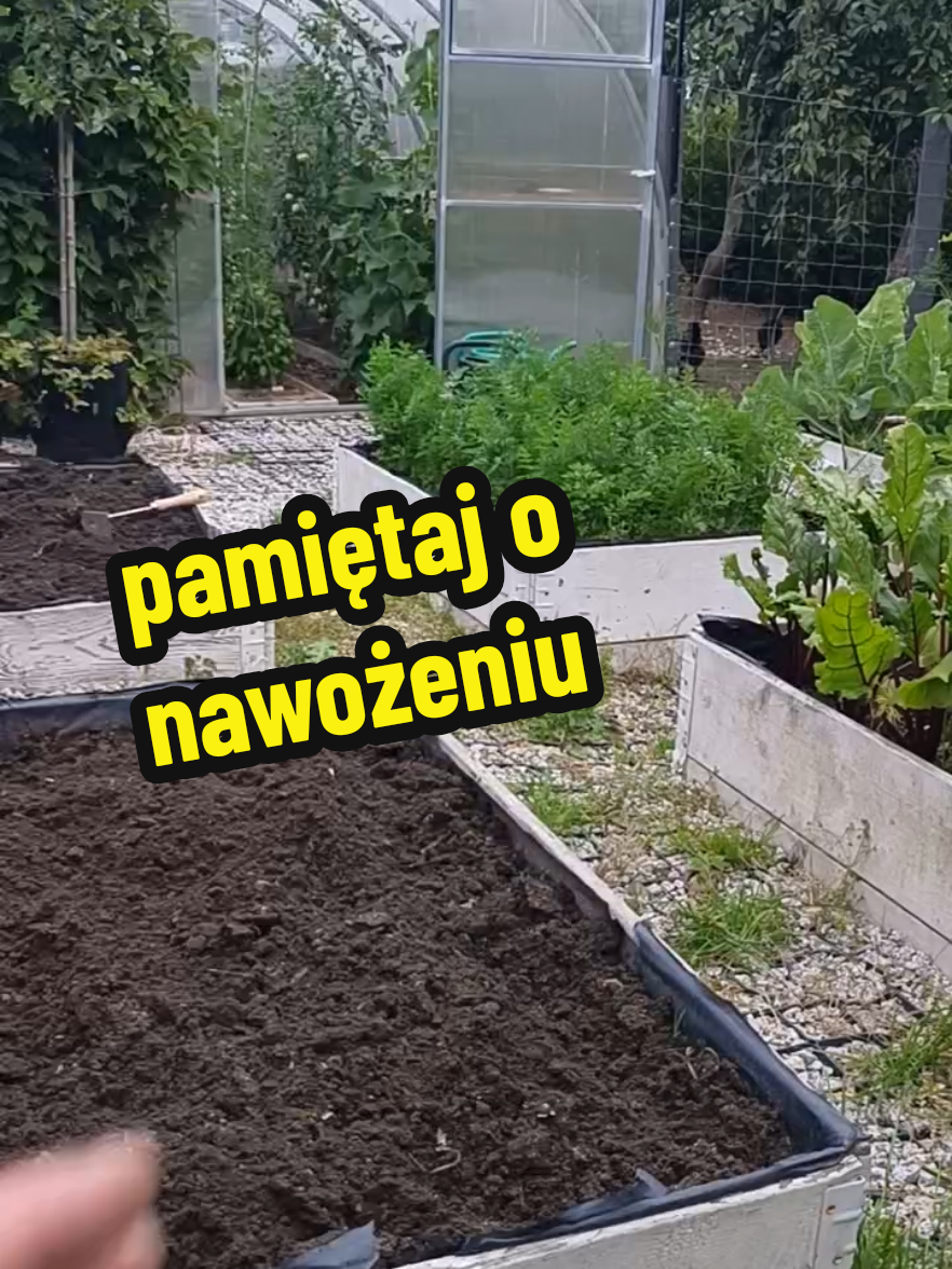 @Marcin ogrodnik