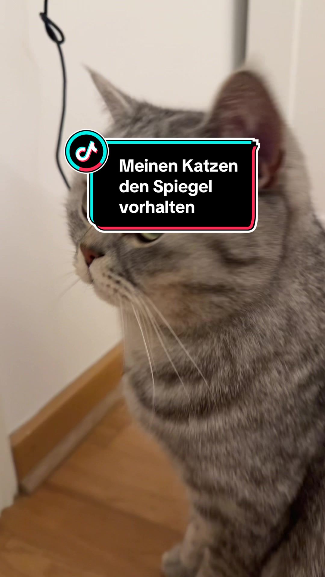 @Sissi