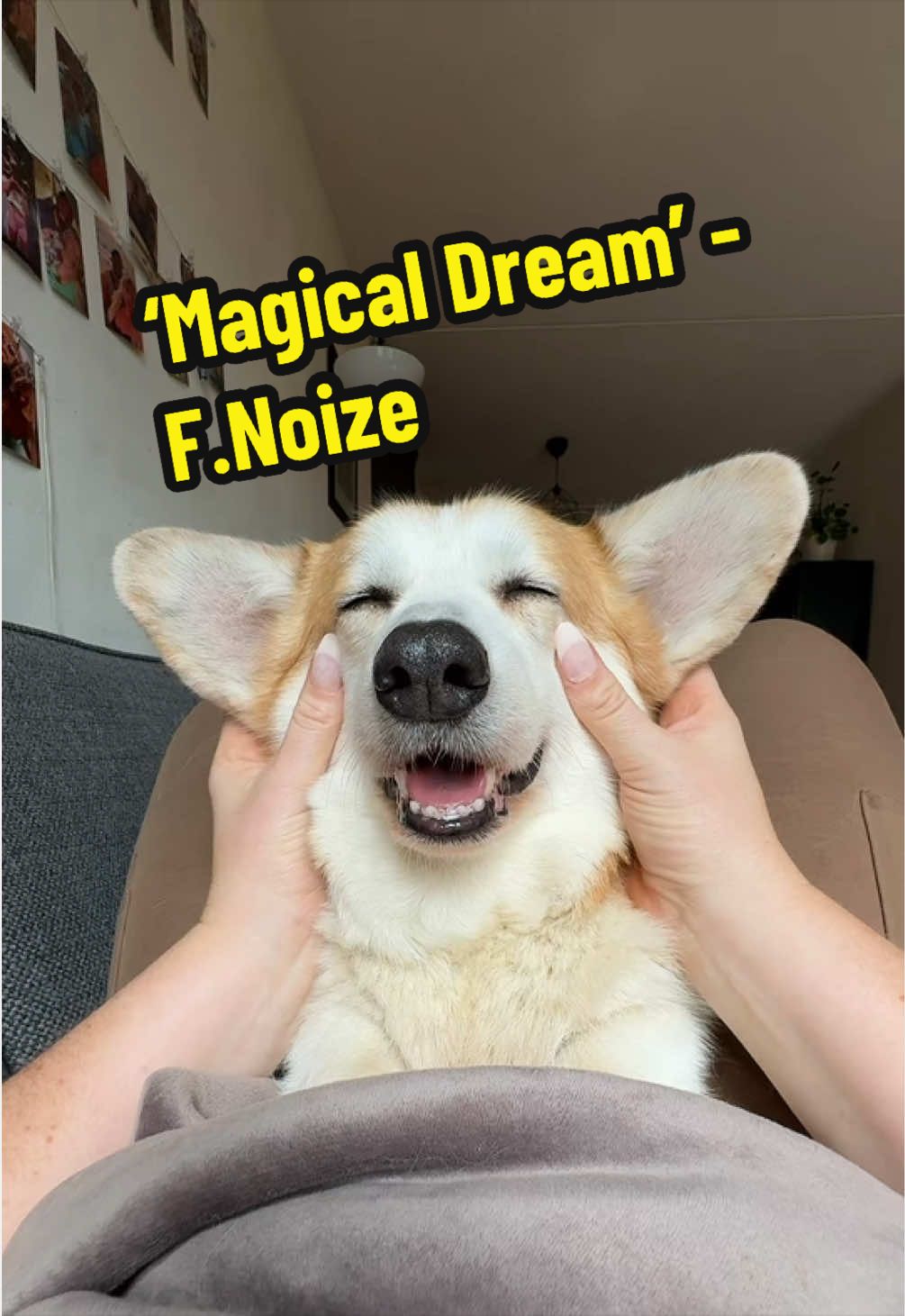 @Kickroll Corgi Charlie 🐶🚀