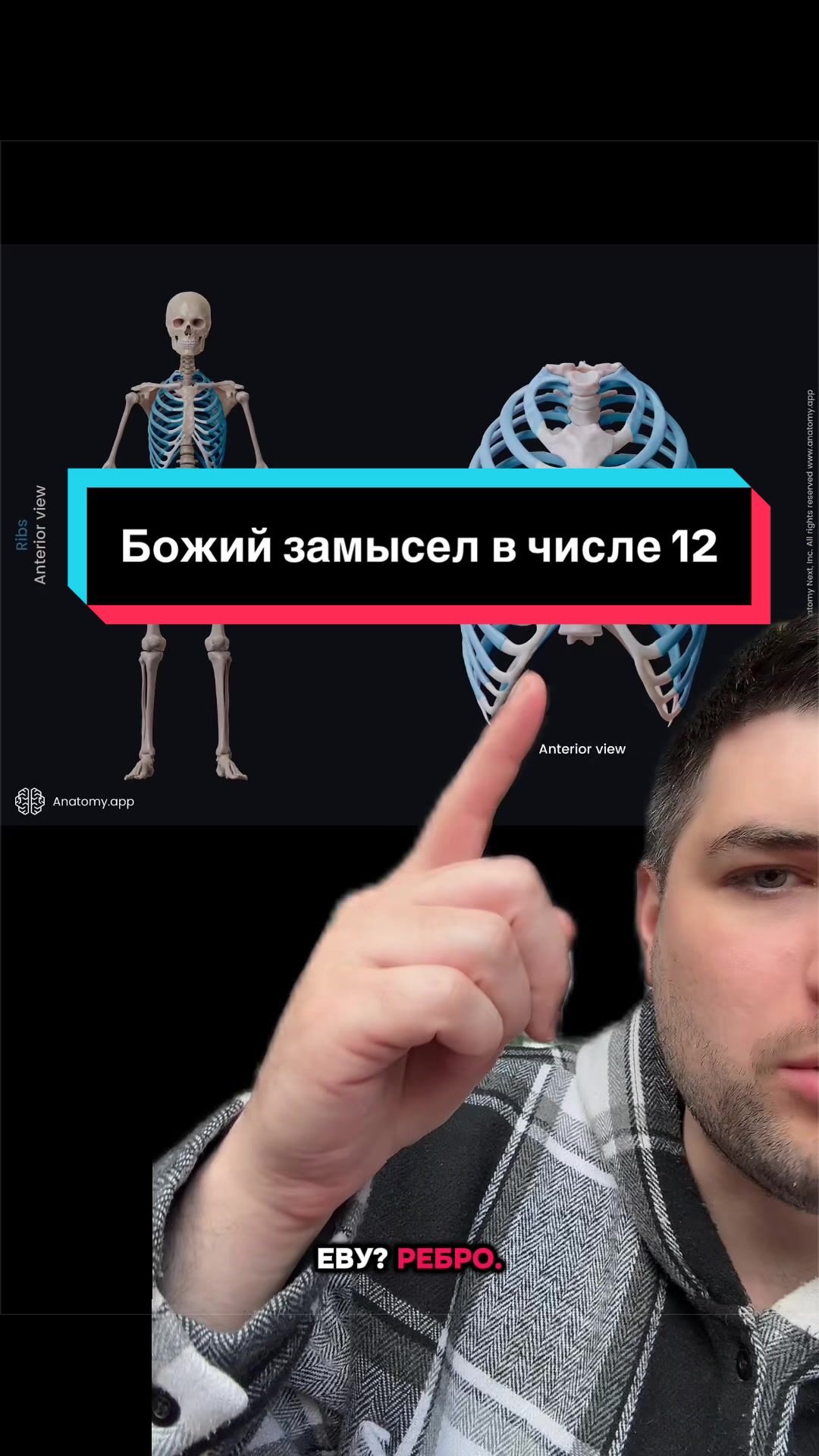 @Dovod Brat