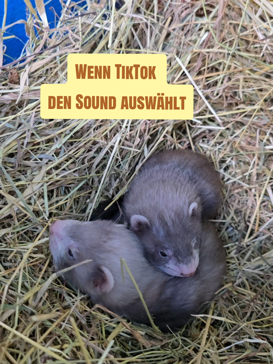 @WildparkLH