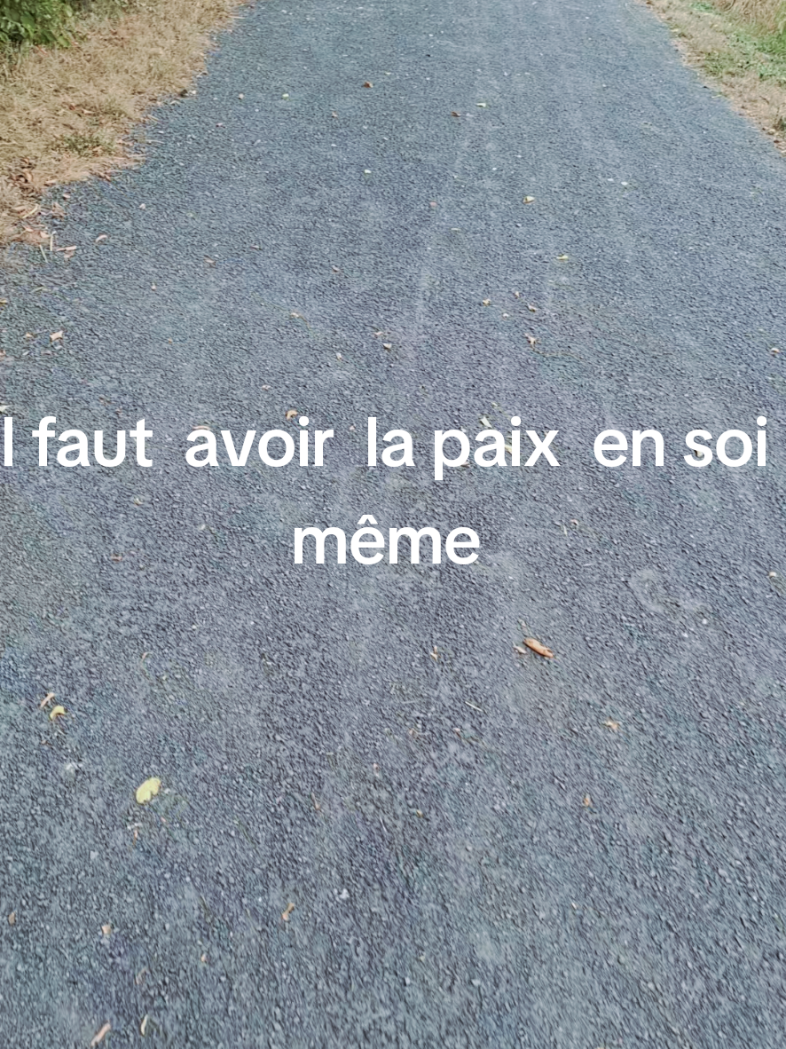 @falerna