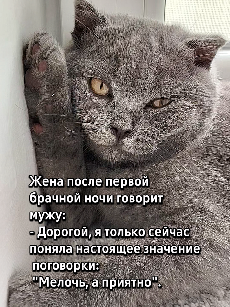 @😻Риччи&Джесси🐈Масик👼&Андрей