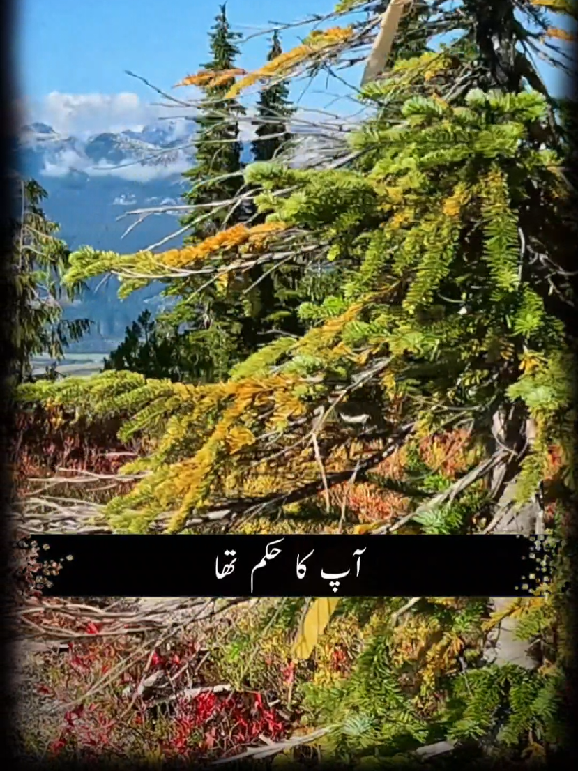 @Travel with Pardasi