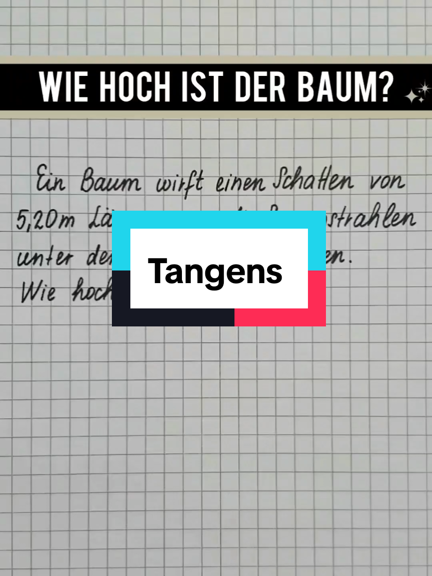 @MathematikFee