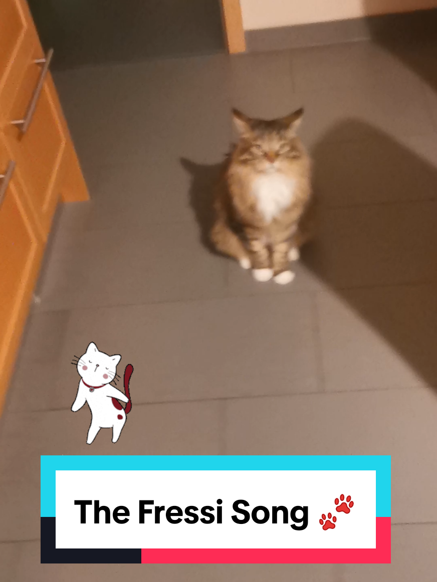 @animalslover