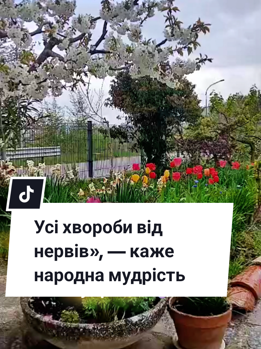 @Olga Popovych