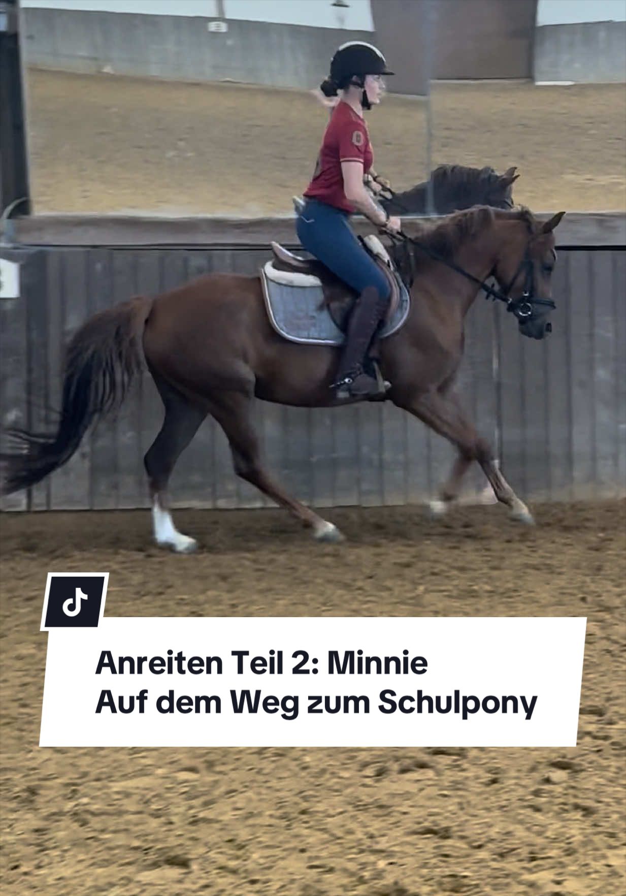 @Sophia &bull; SL Reitschule