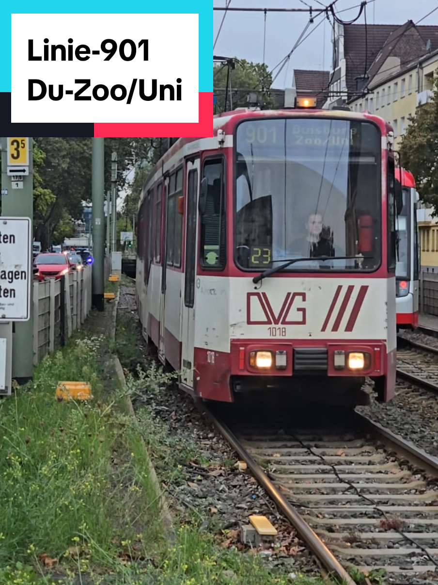 @Bus_Bahn_Videos_Essen