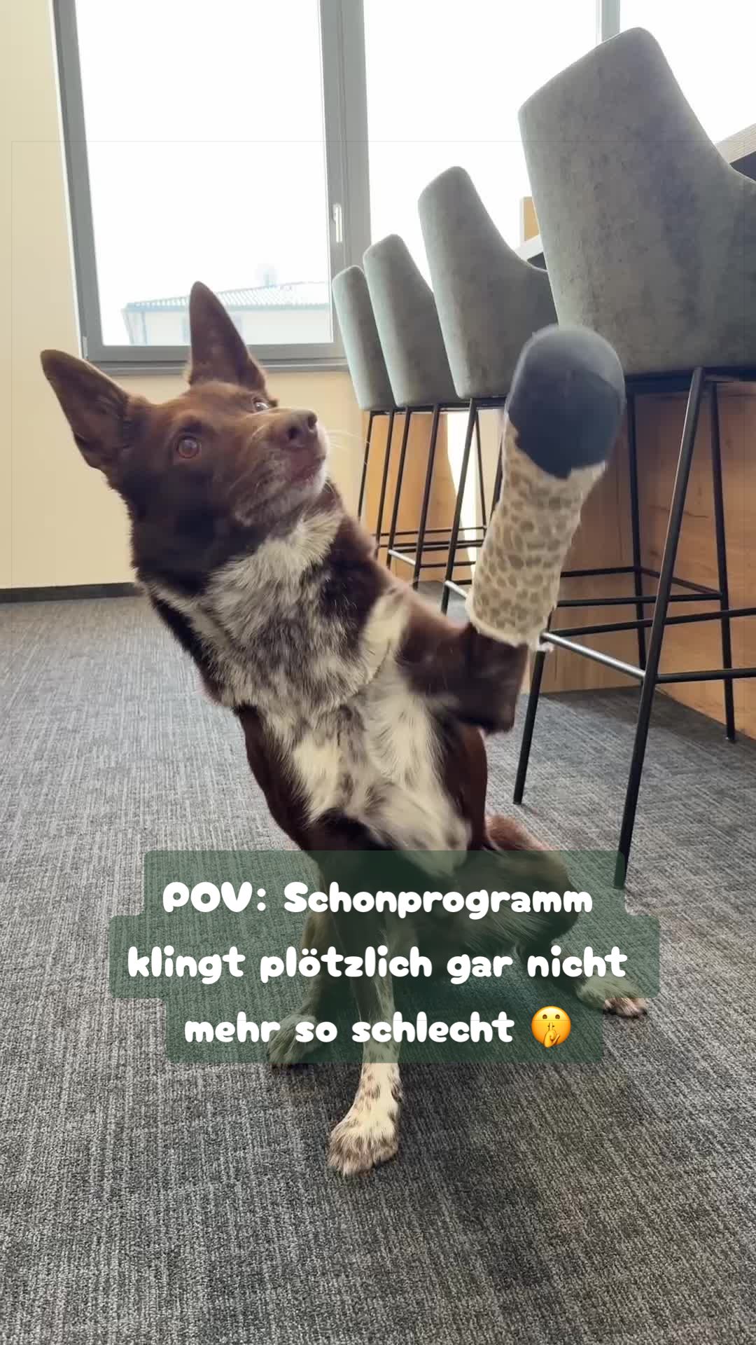 @GranataPet