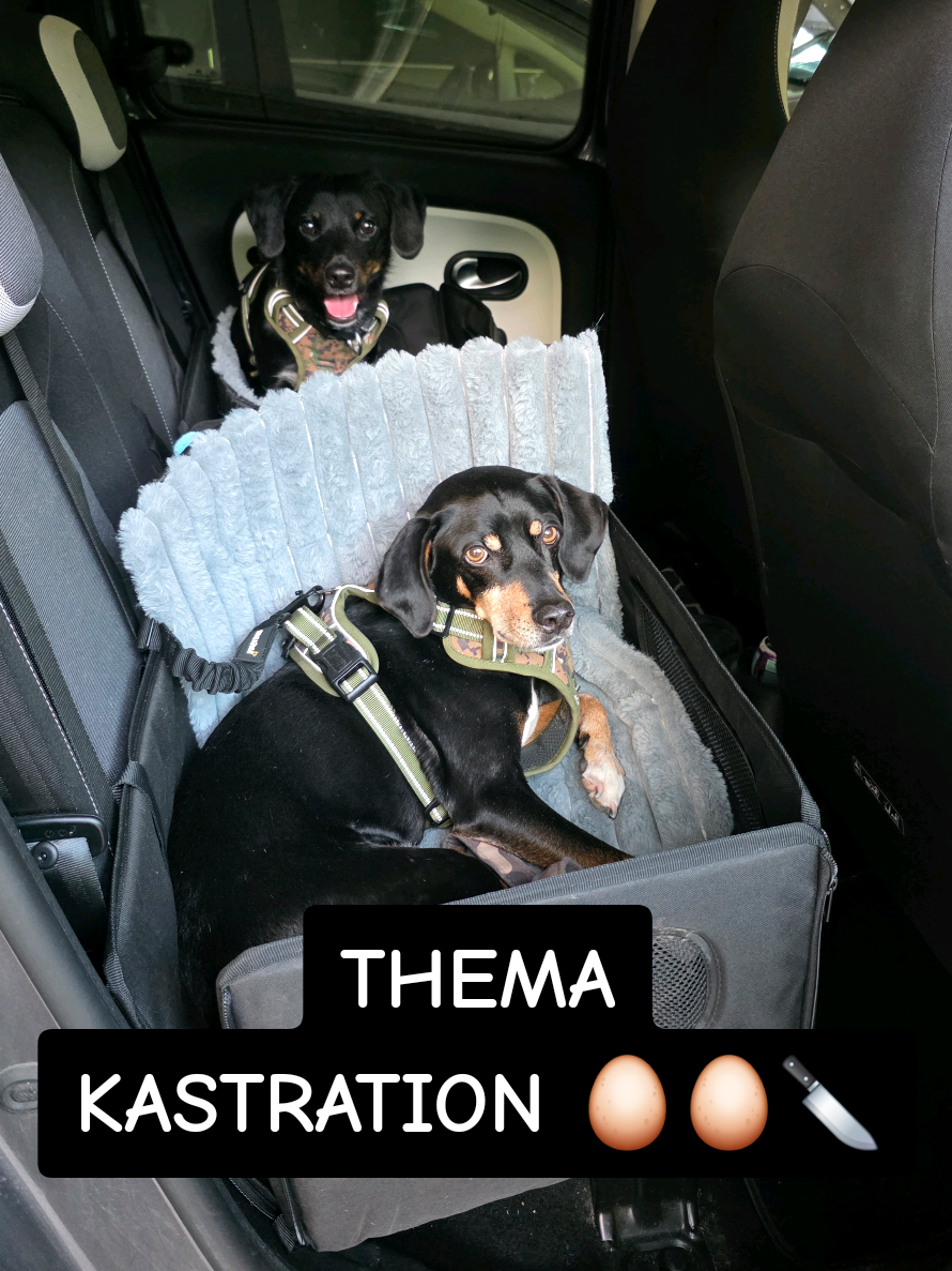 @K&ouml;nig Kack & Prinzessin Pipi👑