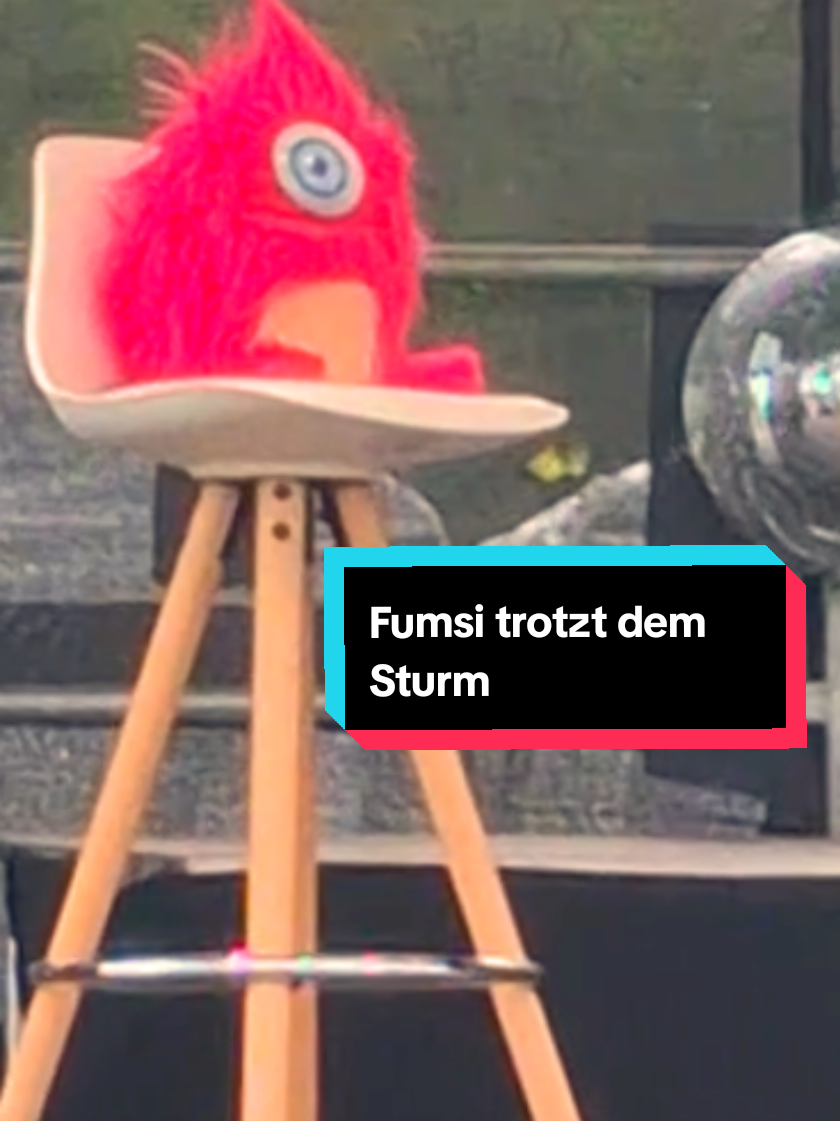 @KatiSternUndFumsi