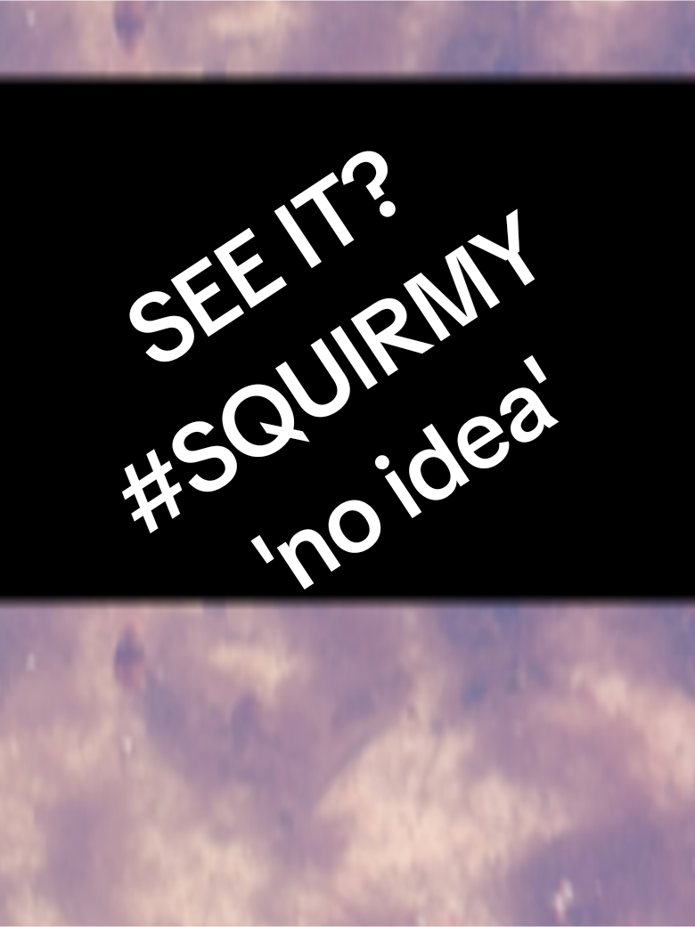 @❌️TammyBarber+G7=SARIE