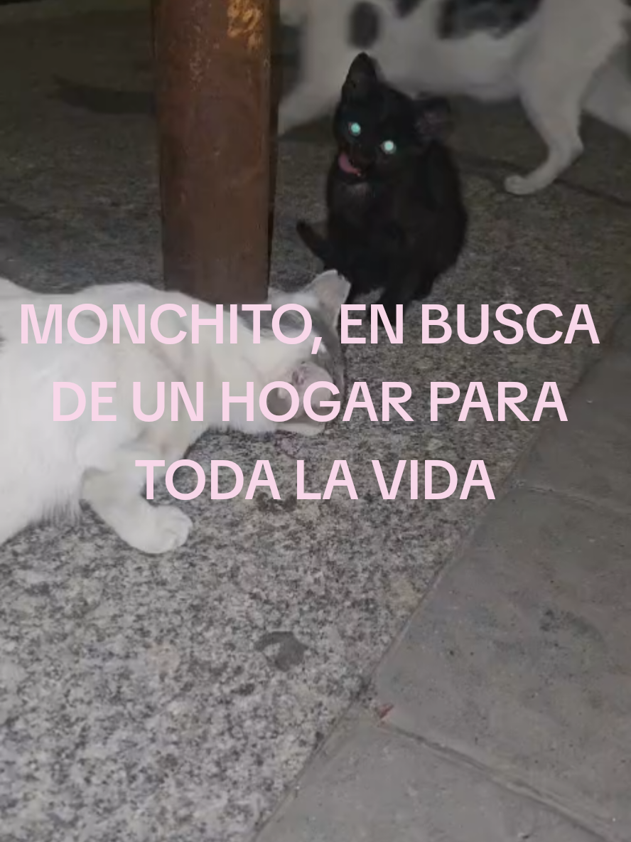 @garritasespaciales