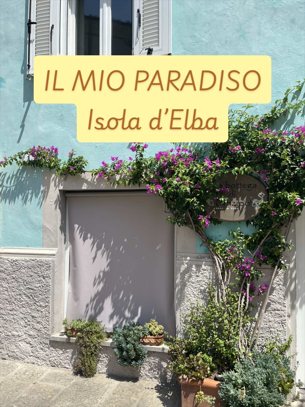 @piccole.spine.felici