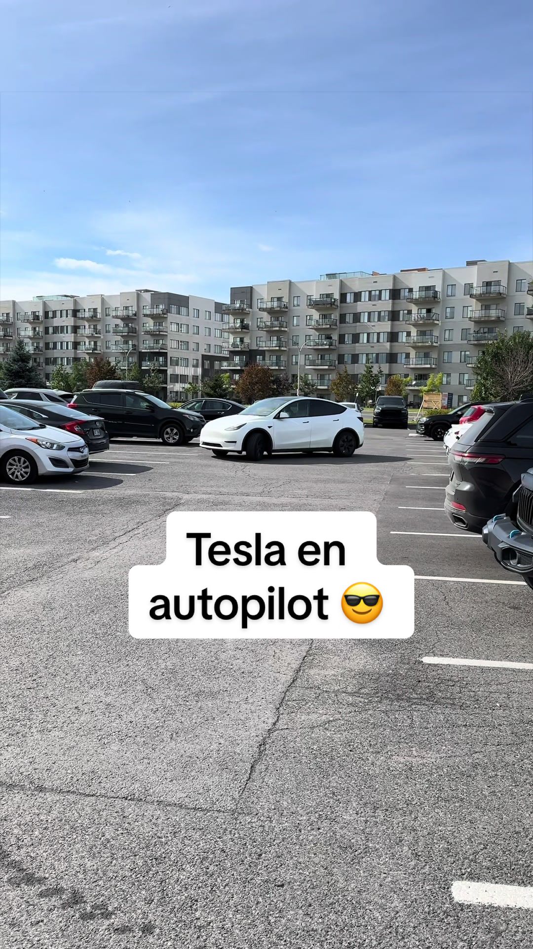 @Driss D. 🇨🇦