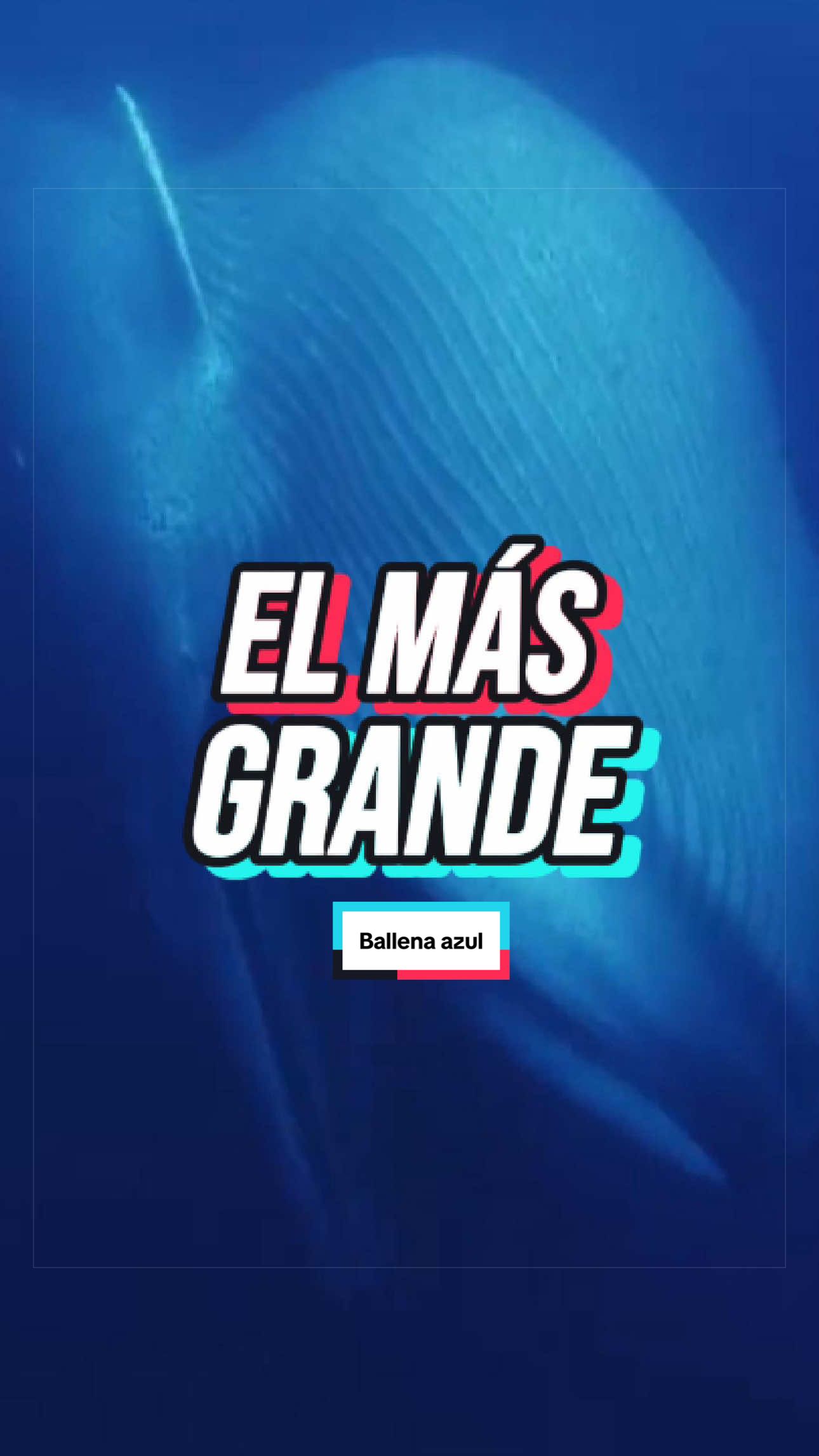 @ArchivoXtra&ntilde;o