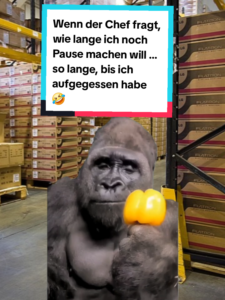 @BroFactsDE