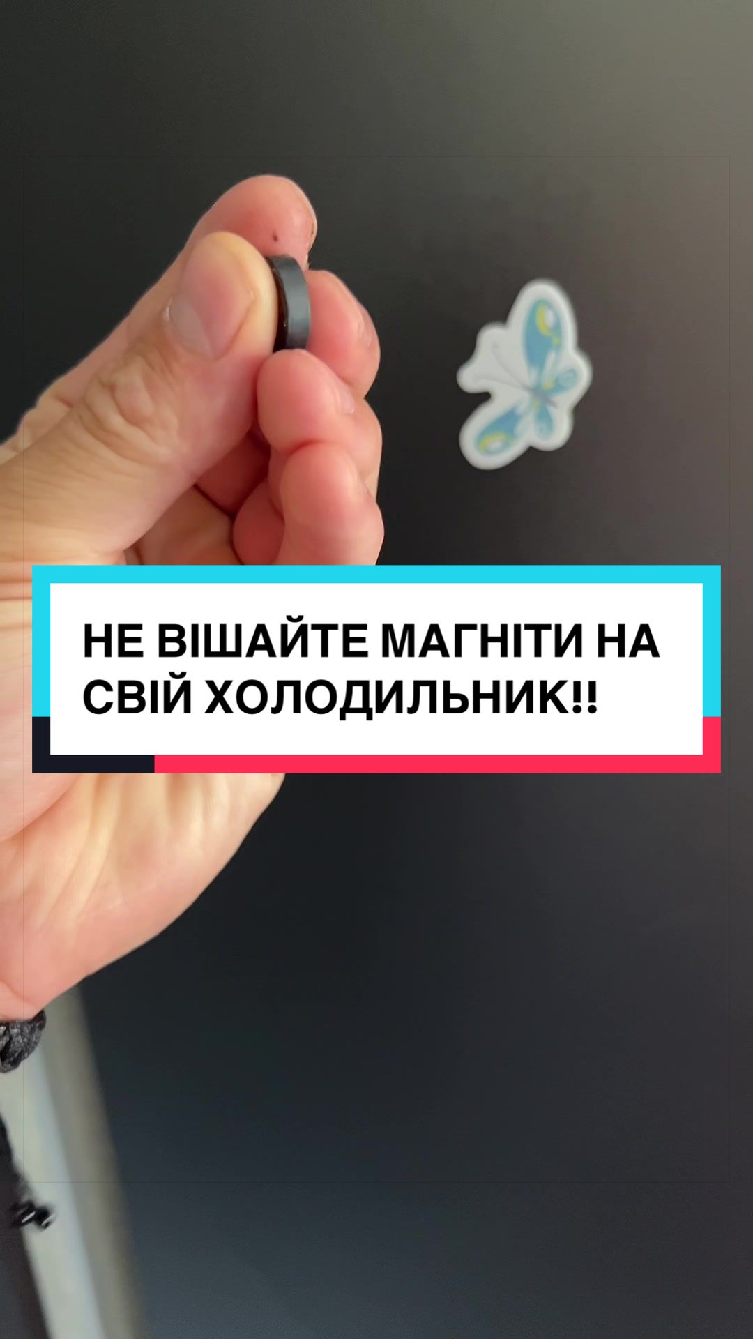 @laifhak_mozgi